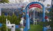 Rakıntı Balık