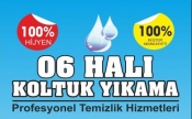 06 Halı ve Koltuk Yıkama