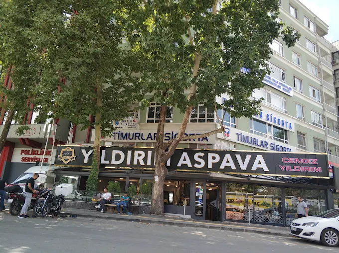 Meşhur Cengiz Yıldırım Aspava Tandoğan